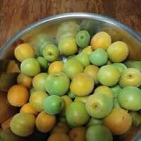 今日の予定はキャンセルに