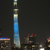 日向坂46の虹開催記念特別ライティング15