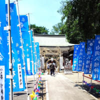 夏越の大祓、白岡八幡神社にて