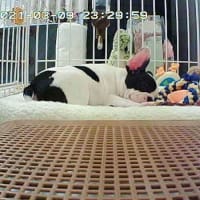 早くも異常を感じていました