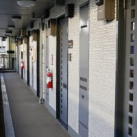 【アパートの玄関先】クモの巣除去の大掃除！