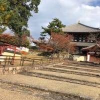 皆既日食・天王星食（令和4年11月8日カメラ手持ち撮影です）