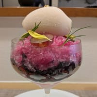 ドルチェカサリンゴのマジェンタ