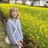 今週のテーマは、こちら