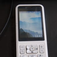 Braun,  ABK30  Type 4861