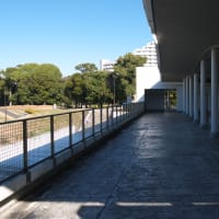 １月のお台場：台場駅前交差点から東京都立潮風公園・北側エリアへ　ＰＡＲＴ２