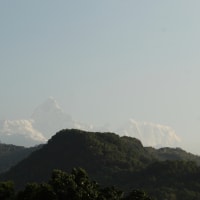 「ネパール・インド旅行」の旅費を相場で稼ぐ（4）