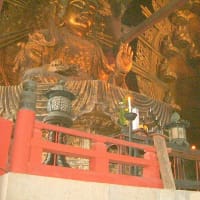 06/17奈良京都への旅-4（東大寺）
