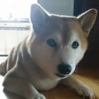 夏休み集合　　たのしいな