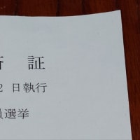 都議会議員選挙の話