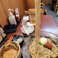 |M3412|巣鴨地蔵通りに入って1～2分の『地蔵蕎麦大橋屋』にお邪魔。生ビ＆みそおでん＆えだまめで開始して、冷やし梅干しそばはパッツンコシのそばが長～い＆ミニ海老天丼もうまかった！