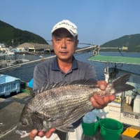 9月8日　イカダ釣り釣果