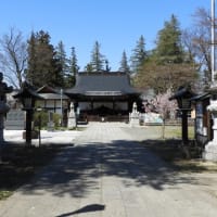 須坂の臥竜公園桜見物