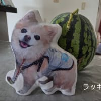 朝からラッキー！