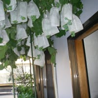 我が家の省エネアイテム