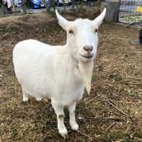 冬支度しました