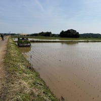 田植えが終了しました