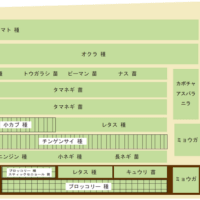 記録、春の作付け