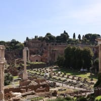 古代ローマ時代の遺跡「Foro Romano（フォロ・ロマーノ）」を歩く