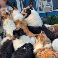 18ジャスミンキッズ　お誕生会　後編