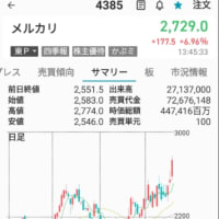 4385メルカリ　損切り -36,429円