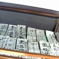 海鳥のサンクチュアリ　天売島と森林浴を楽しむメルヘンの焼尻島　７６回目　羽幌
