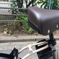 Panasonic「グリッター」です・・・