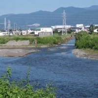 2024神奈川河川ﾎﾟﾀﾘﾝｸﾞ『狩川』⑥要定川と洞川の合流