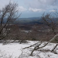 日本海を望む