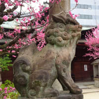 「2025年も管大臣社...」