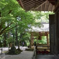 湖東三山　百済寺(ひゃくさいじ）の新緑