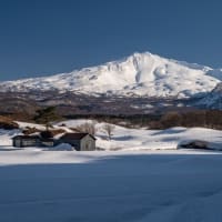春まじか