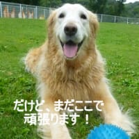 2012年初の屋外プール遊び・・・の巻!!!