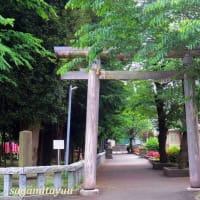 相模国の延喜式内社十三社の内の一社「深見神社」