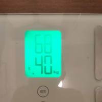 12日目の数値