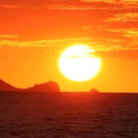 ２０２５　夕日バカ３　（トド岩のダルマ）