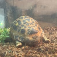 動物園