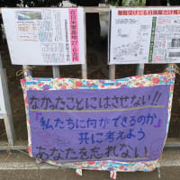☆金曜定例　官邸前スタンディング