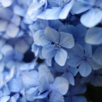 【読書】終点のあの子/柚木麻子