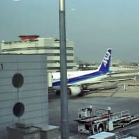 八丈小島もあるく　よみがえれ　三宅島応援ツアー　１回目　羽田空港