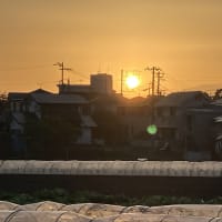 太陽が富士山に沈む
