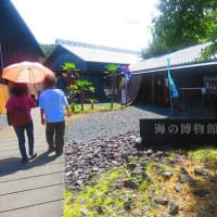 海の博物館が素敵だった件