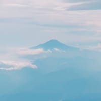 2023/2024アルペン所感