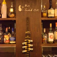 Bar Scotch Cat