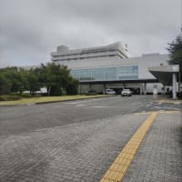 ボロボロ