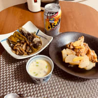 今日は　