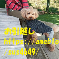 お引越しします。