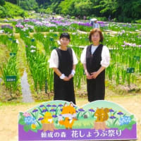 オカリナ演奏 2025祭り