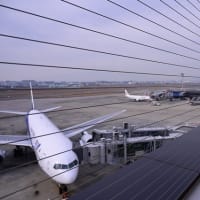 12月の旅