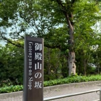 坂道ダッシュ